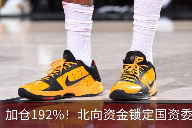 加仓192%！北向资金锁定国资委长子，芯片+氢能+低空经济